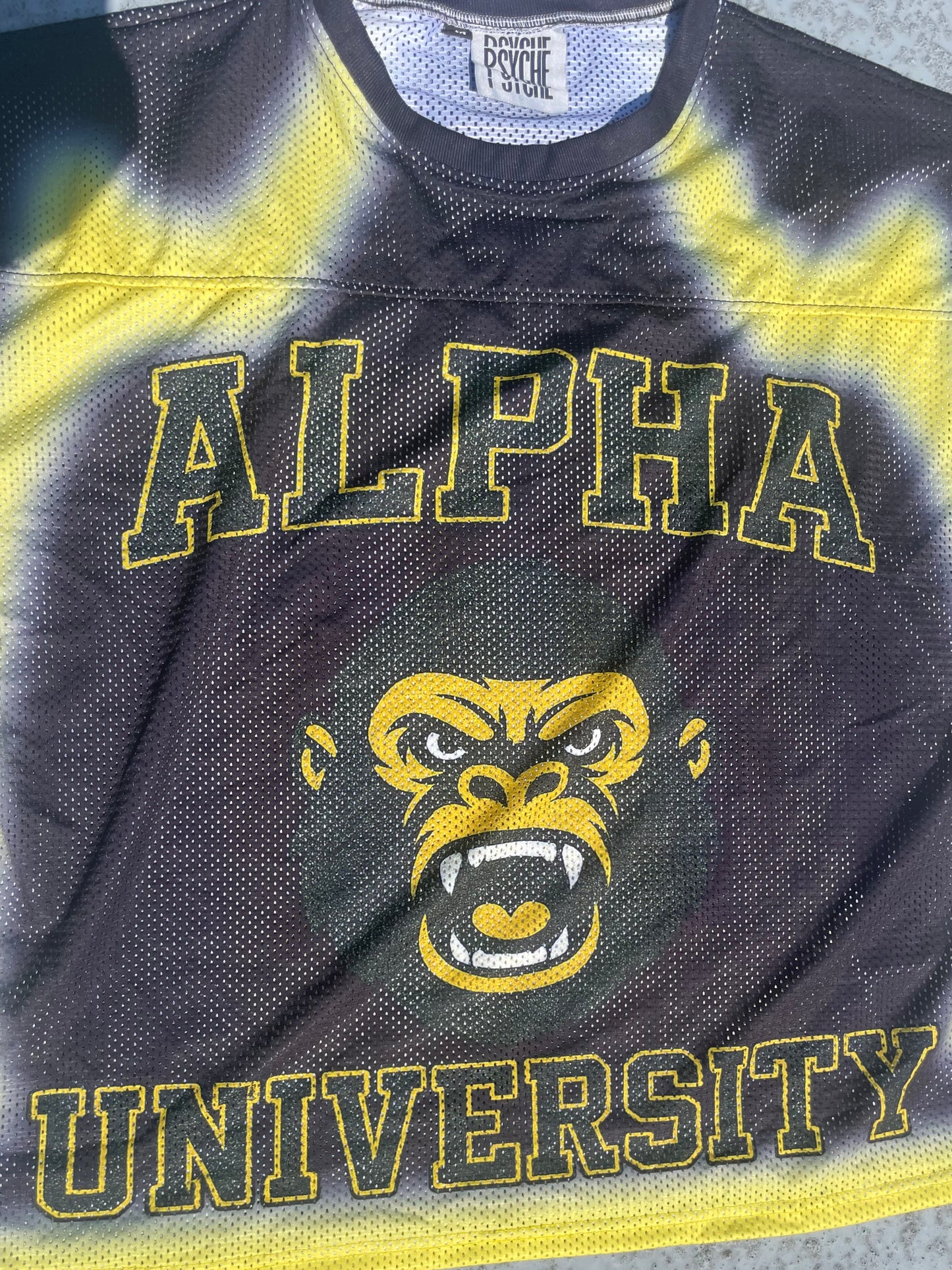 Oversized Alpha University Double Layer Mesh Jersey