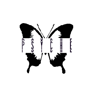 1911 Triple Layer Hoodie